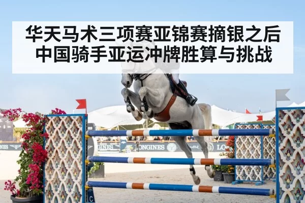 show jumping horse rider
