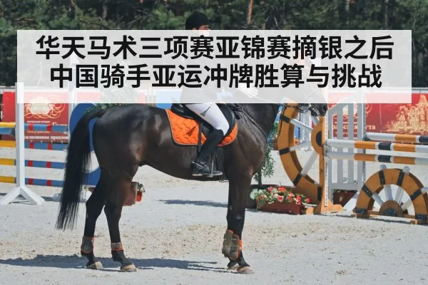 dressage horse equestrian