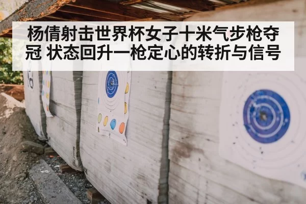 shooting competition target