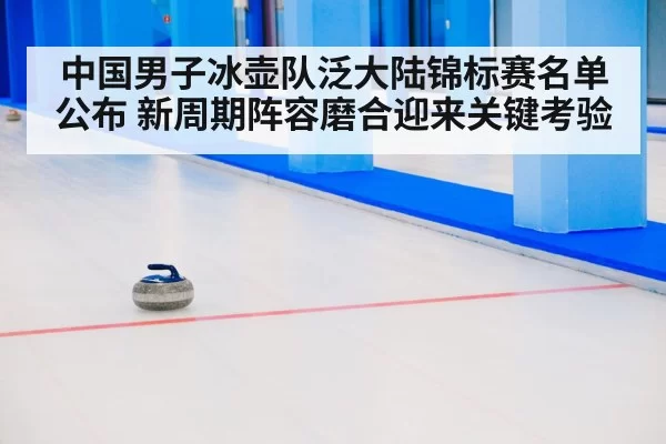curling stone on ice